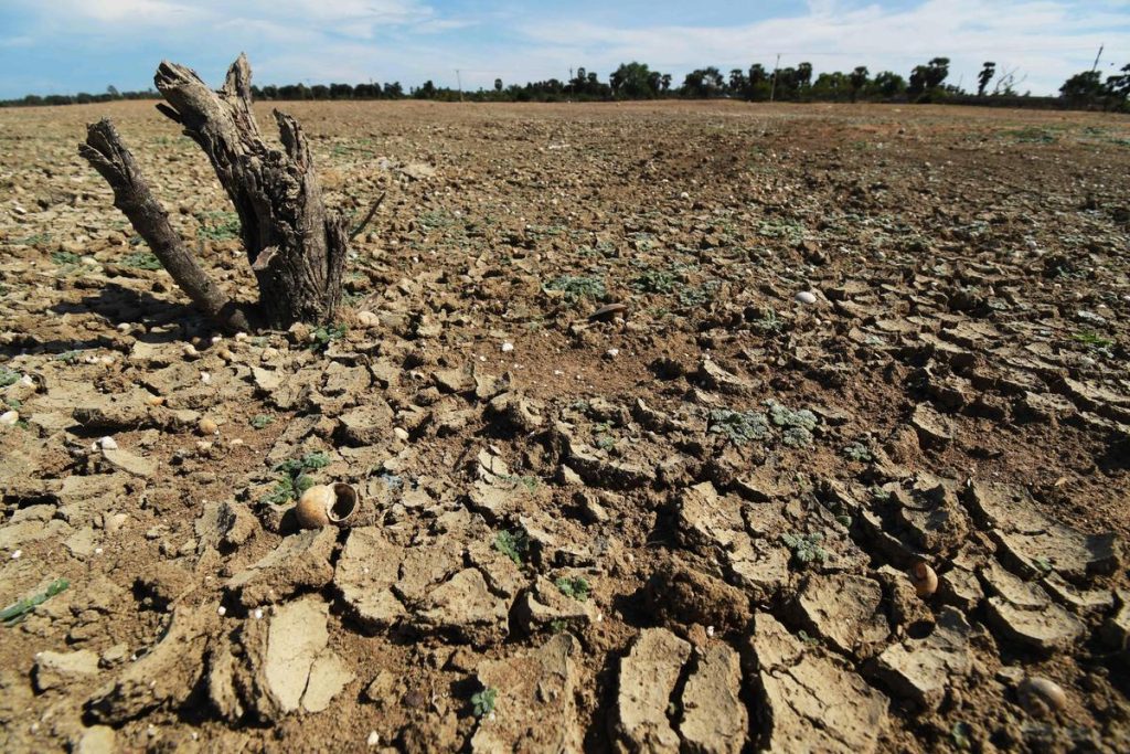 CM Vijay forms 7-member expert panel to assess El Nino impact in TN