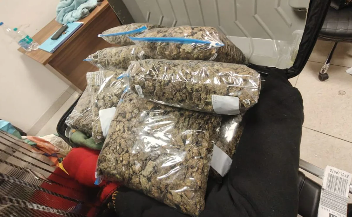 4.03 kg of Cannabis seized at Chennai airport, Malaysian national held