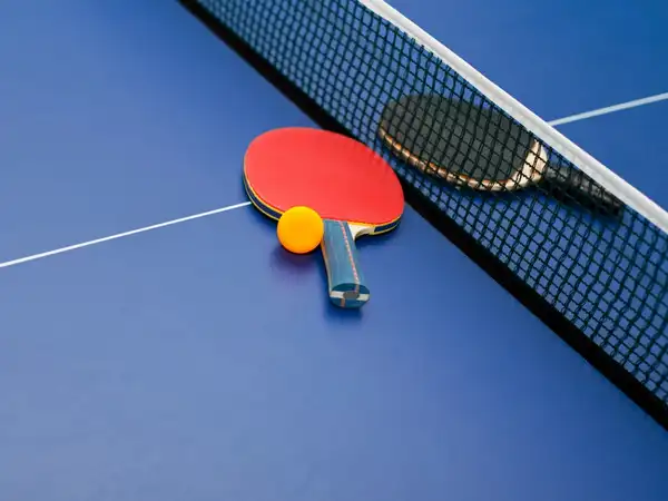 Sports Ministry suspends TTFI over governance issues