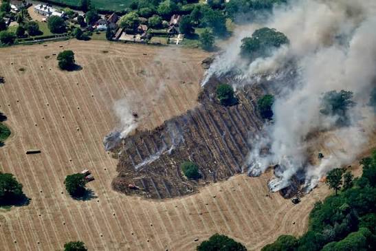 Extreme heat, drought fuel Serbia wildfires