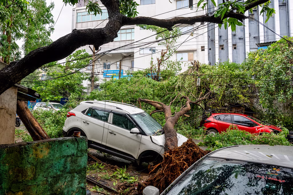 Cyclone Arnab kills five in Andhra Pradesh; Naidu announces relief