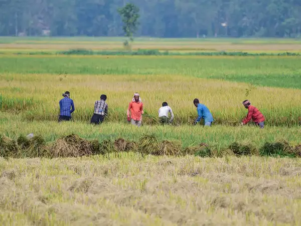 Weak monsoon weighs on rural demand as festive season begins